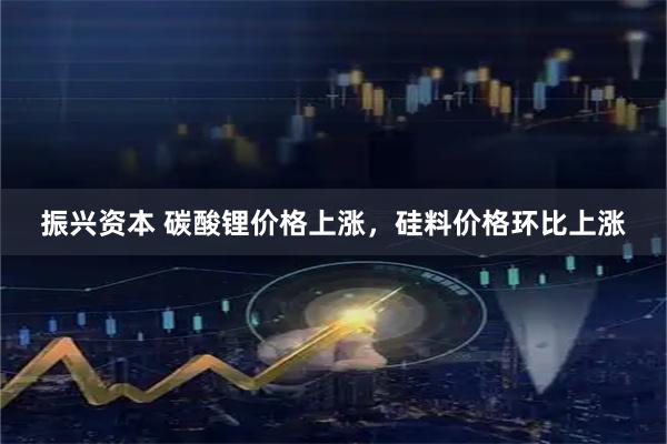 振兴资本 碳酸锂价格上涨，硅料价格环比上涨