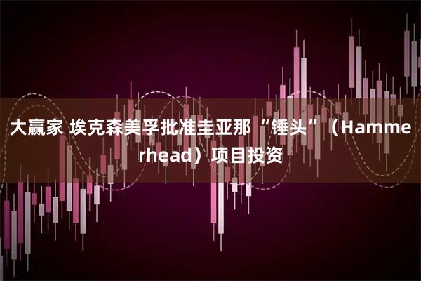 大赢家 埃克森美孚批准圭亚那 “锤头”（Hammerhead）项目投资